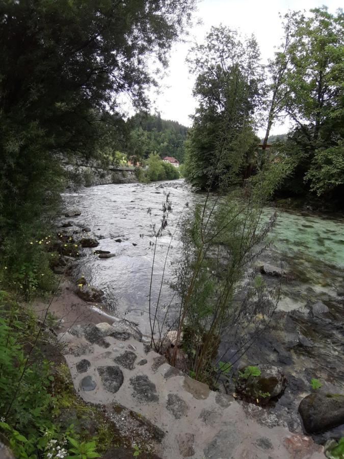 Krivec Appartement Luče Buitenkant foto